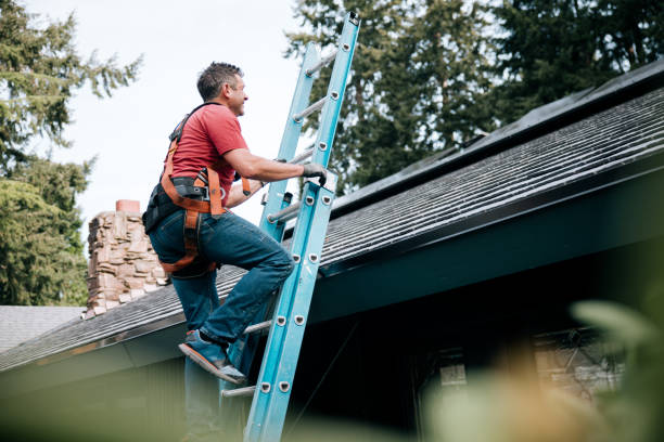 Best Roof Maintenance and Cleaning  in Middlebranch, OH